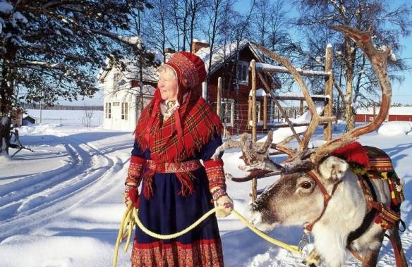 Lapland Finland Reindeer